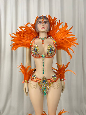 Samba Costumes Handmade Wire Bra And Belt With Feather Piece For Festival Costumes