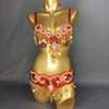Belly Dance Bra and Belt Set, Women's Gold Sequin Beaded Fringe, Crystal Embellished, Tribal Fusion Dancewear