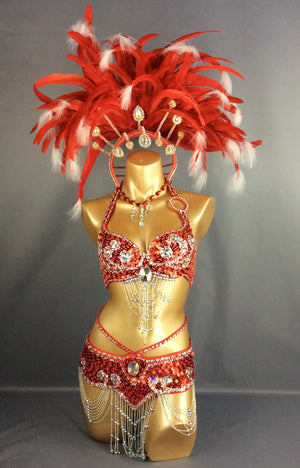 Carnival Samba Dance Costume, Women's Red & White Feathered Sequin Rhinestone Bra & Skirt Set, Latin Belly Dance
