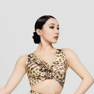 Women's Leopard Print Pink Fringe Latin Dance Dress, Mesh Sleeves