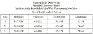 Women's Adult Belly Dance Costume Set With Tassel Bra, Rhinestone Belt And Skirt For Performance