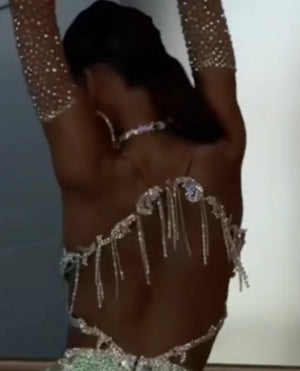 Belly Dance Costume Set Women's Green and Blue Sequin Rhinestone Bra and Skirt with Gold Appliques