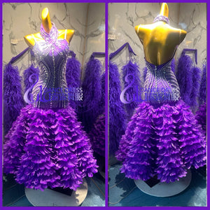 Women's Purple Beaded Rhinestone Feather Latin Dance Dress