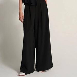 Women's Black V-Neck Long Sleeve Top and Wide-Leg Pants Set, Pleated, Ballroom Dance