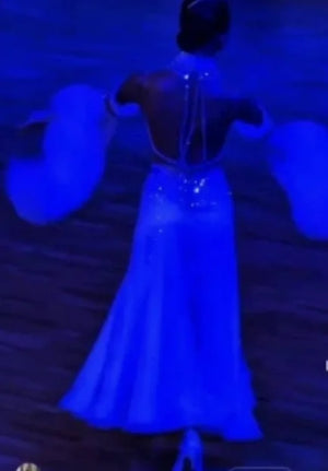 Ballroom Dance Dress Women's White Embellished Corset-Style with Feather Boa Sleeves and Full Skirt, Standard Smooth