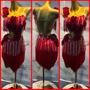 Latin Dance Dress Women's Red Beaded Fringe Rose Embellished Asymmetrical Skirt Rumba Cha Cha Samba Tango Costume