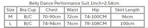 Women's Belly Dance Costume Set With AB Rhinestone Bra Top, Sleeves And Chiffon Long Skirt For Competition