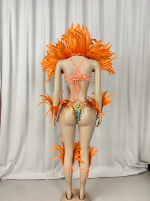 Samba Costumes Handmade Wire Bra And Belt With Feather Piece For Festival Costumes