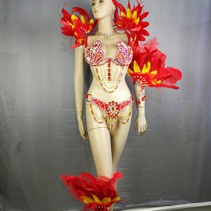 Carnival Samba Belly Dance Costume, Women's Red & Gold Sequin Feathered Bra, Belt, & Armband Set, Brazilian Showgirl Outfit