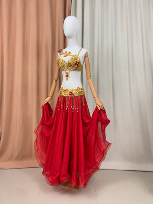 Belly Dance Costume Women Red Gold Sequin Beaded Bra Belt Skirt Set Chiffon Performance Outfit