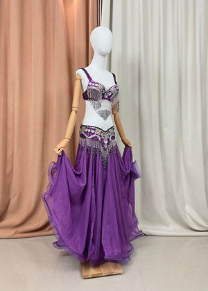 Belly Dance Costume Women's Purple Sequin Beaded Fringe Bra and Skirt Set, Chiffon Performance Outfit