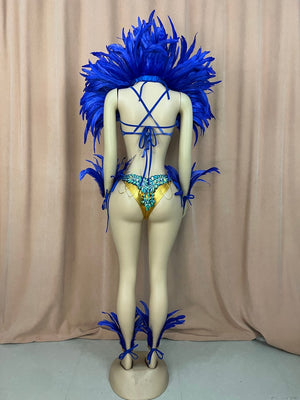 Carnival Dance Costume Women's Blue Feathered & Embellished Sequin Mardi Gras Samba Showgirl Outfit