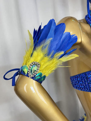 Carnival Dance Costume Women's Blue & Yellow Feathered Sequin Embellished Two-Piece Set with Headpiece & Leg Cuffs, Samba/Brazilian Dance