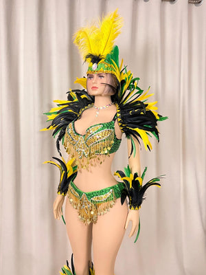 Carnival Samba Dance Costume Adult Female Green Yellow Black Sequin Feather Rhinestone Bra Bottom Set