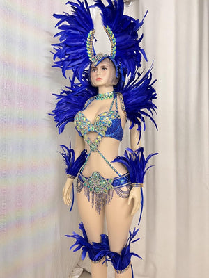 Carnival Dance Costume Adult Female Blue Feathered Rhinestone Beaded Sequin Brazilian Samba Dancewear