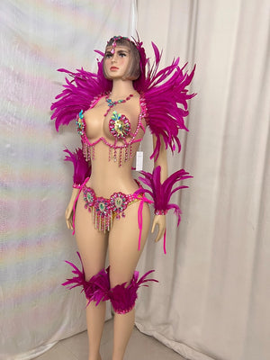 Carnival Costume Women's Hot Pink Feathered & Rhinestone Embellished Bra & Bikini Set with Arm & Leg Bands, Samba Dancewear
