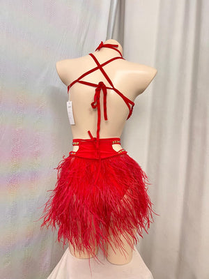 Women's Red Rhinestone Feather Crystal Carnival Samba Dance Costume