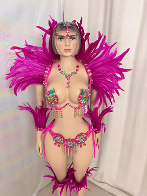 Carnival Costume Women's Hot Pink Feathered & Rhinestone Embellished Bra & Bikini Set with Arm & Leg Bands, Samba Dancewear