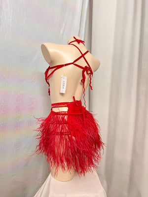 Women's Red Rhinestone Feather Crystal Carnival Samba Dance Costume