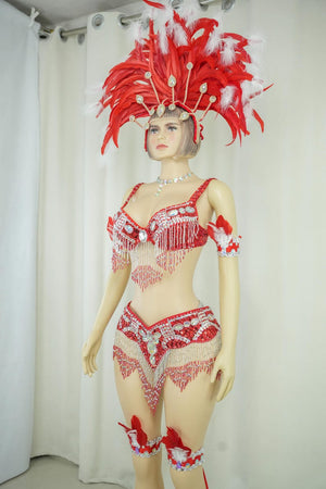 Carnival Dance Costume, Women's Red & Silver Sequin Beaded Feather Headdress Bra Shorts Set, Samba/Rumba/Latin Dancewear
