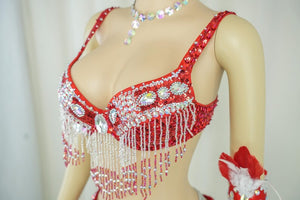 Carnival Dance Costume, Women's Red & Silver Sequin Beaded Feather Headdress Bra Shorts Set, Samba/Rumba/Latin Dancewear