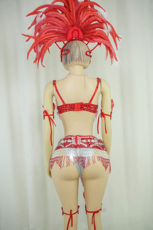 Carnival Dance Costume, Women's Red & Silver Sequin Beaded Feather Headdress Bra Shorts Set, Samba/Rumba/Latin Dancewear
