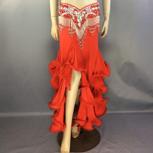 Free shipping New women's belly dance costume Dress belly dance clothes sexy belly dancing Skirt training dress or performance SK38