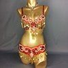 Hot design handmade beaded belly dance costume wear Bar+Belt 3piece/ set ,5 color ladies belly dance costumes women dancing wear TF1601