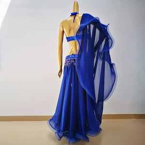 Hot Sale Professional Belly Dance Costume Set for Women Performance Outfits Bollywood Showgirl Dancer Belly Dance Costume cloths