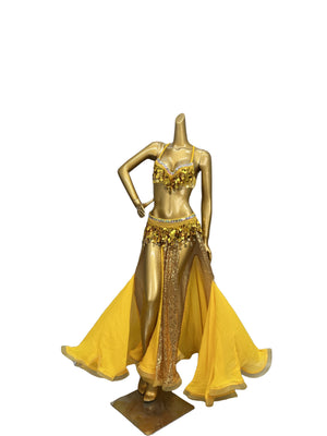 Party Club Samba Bra Belt and Panty With Skirt Gold Color Rave Costumes C030+SK1911