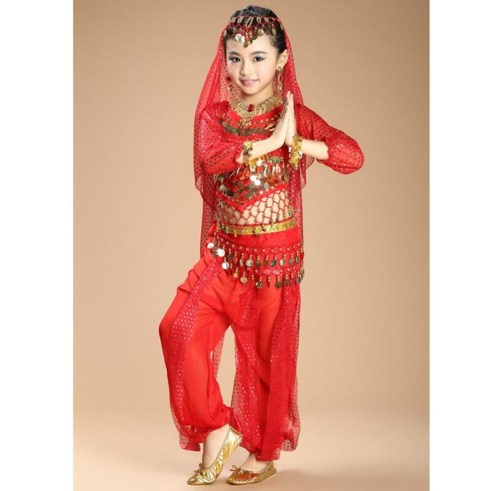 New Children Belly Dance Costumes kids belly dance 4pcs(top+pants+waist chain+veil) indian \girls belly dance costume 3307