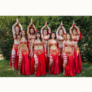 Hot design handmade beaded belly dance costume wear Bar+Belt 3piece/ set ,5 color ladies belly dance costumes women dancing wear TF1601