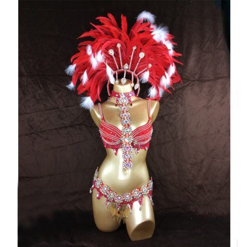 tour de carnival design order C020