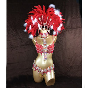 tour de carnival design order C020
