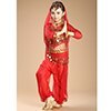 New Children Belly Dance Costumes kids belly dance 4pcs(top+pants+waist chain+veil) indian \girls belly dance costume 3307