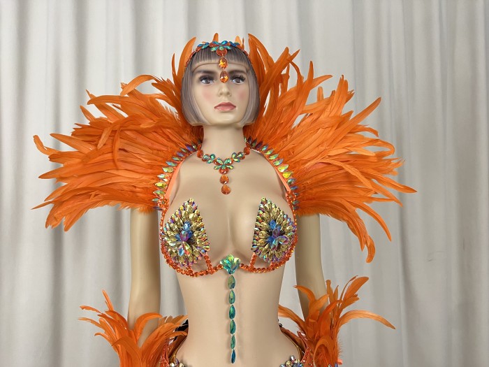 Samba Costumes Handmade Wire Bra And Belt With Feather Piece For Festival Costumes