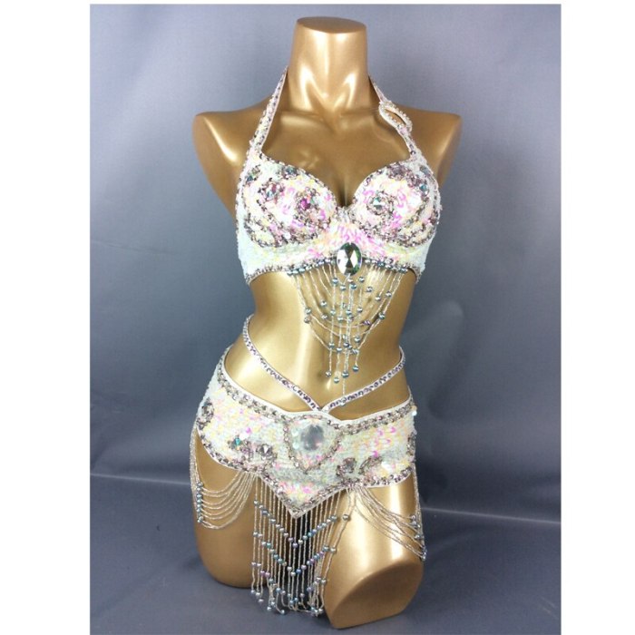 belly dancing suite belt+bra 2 piece set  samba costumes club  13 color in TF209-2
