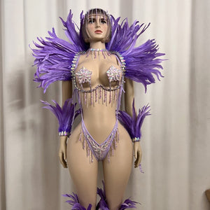 Top Quality Handmade Samba Rio Carnival Wire Bra+Panty+feather shawl With Stone Sexy Belly Dancing Costume