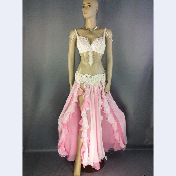 New design high quality Women's belly dance costume sets Halloween costume sexy belly dancing clothes bellydance Christmas wear TF2152+SK37