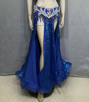 New Design Sequin Bellydancing Slit Long Skirts Sexy Belly Dance Dress Women Costume Training Dress Stage Performance Clothes