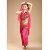 New Children Belly Dance Costumes kids belly dance 4pcs(top+pants+waist chain+veil) indian clothes girls belly dance costume 3308