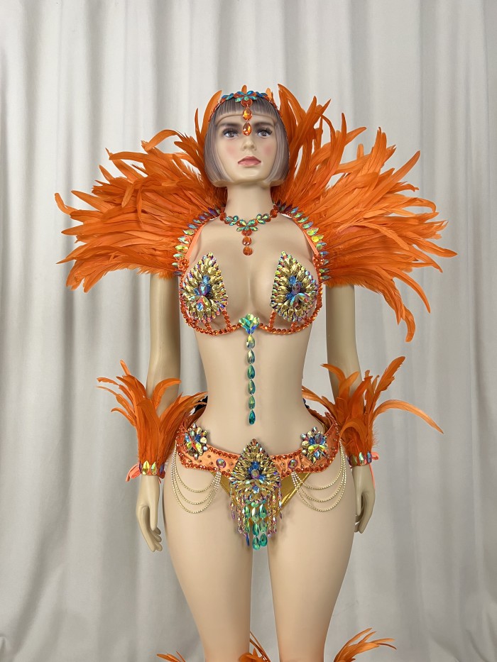 Samba Costumes Handmade Wire Bra And Belt With Feather Piece For Festival Costumes