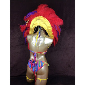 hot selling Sexy Customized Samba Rio Carnival Costume with mulit-colors Feather Head piece(one piece costume)  C1507