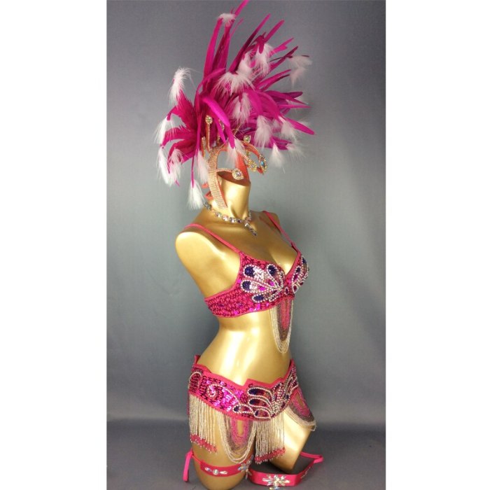 hot selling Sexy Samba Rio Carnival Costume  handmde new belly dance costume with hot pink Feather Head piece C1359 (Hot pink)