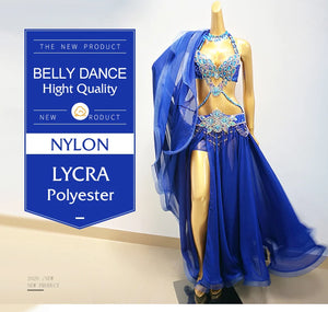 Hot Sale Professional Belly Dance Costume Set for Women Performance Outfits Bollywood Showgirl Dancer Belly Dance Costume cloths