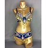 Belly Dance Bra and Belt Set, Women's Gold Sequin Beaded Fringe, Crystal Embellished, Tribal Fusion Dancewear