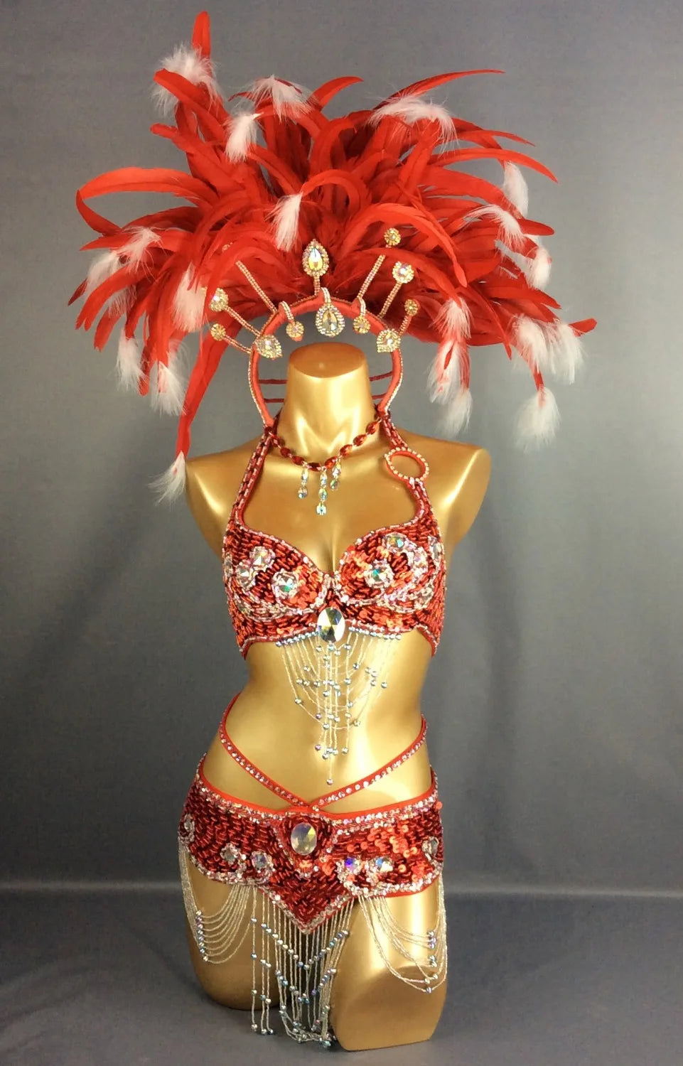 Carnival Samba Dance Costume, Women's Red & White Feathered Sequin Rhinestone Bra & Skirt Set, Latin Belly Dance