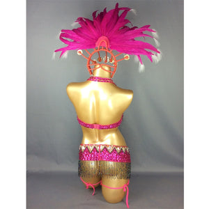 hot selling Sexy Samba Rio Carnival Costume new belly dance costume with hot pink Feather Head piece C1509