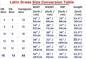 Women's Purple Beaded Rhinestone Feather Latin Dance Dress
