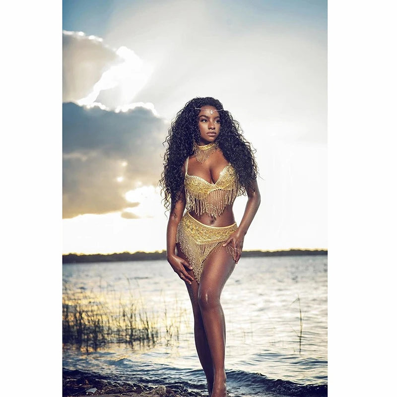 Belly Dance Bra and Belt Set, Women's Gold Sequin Beaded Fringe, Tribal Fusion Performance Costume